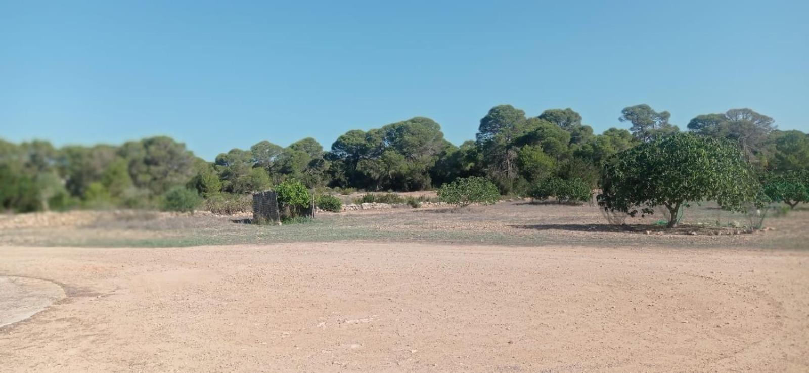 Estudio Cala Saona Esterno foto